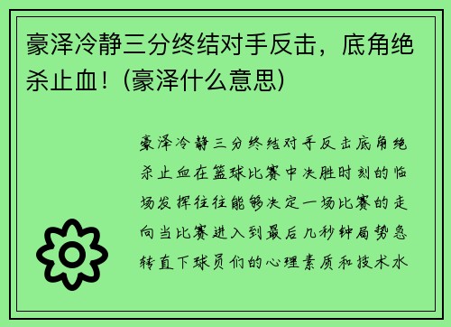 豪泽冷静三分终结对手反击，底角绝杀止血！(豪泽什么意思)